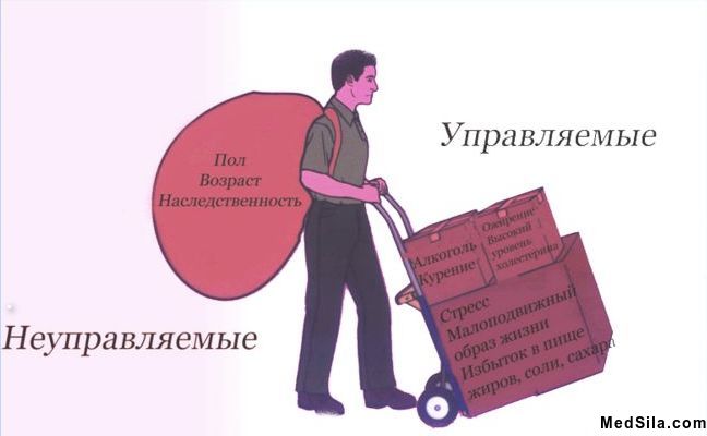 Факторы риска развития АГ